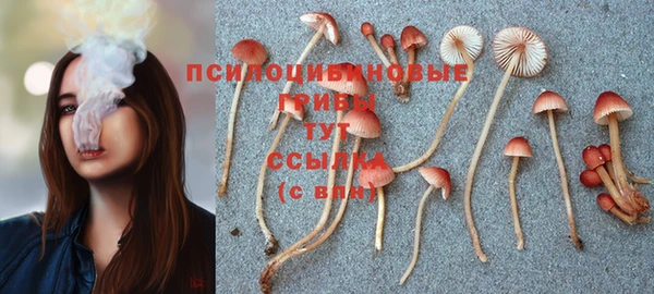 молекула духа Армянск