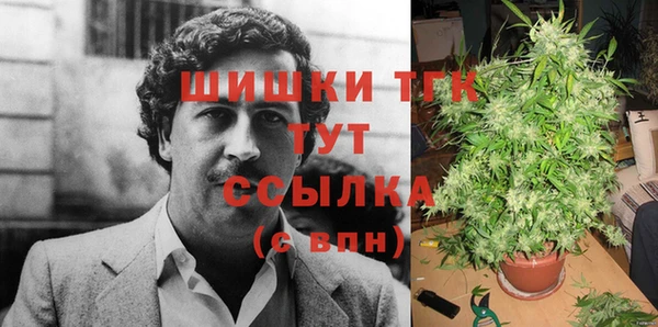 молекула духа Армянск